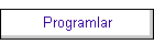 Programlar